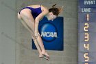 Maddy Morrison  Wheaton College Women's diver Maddy Morrison competes against Babson College, January 11, 2020. - Photo By: KEITH NORDSTROM : Wheaton, Swimming, Maddy Morrison